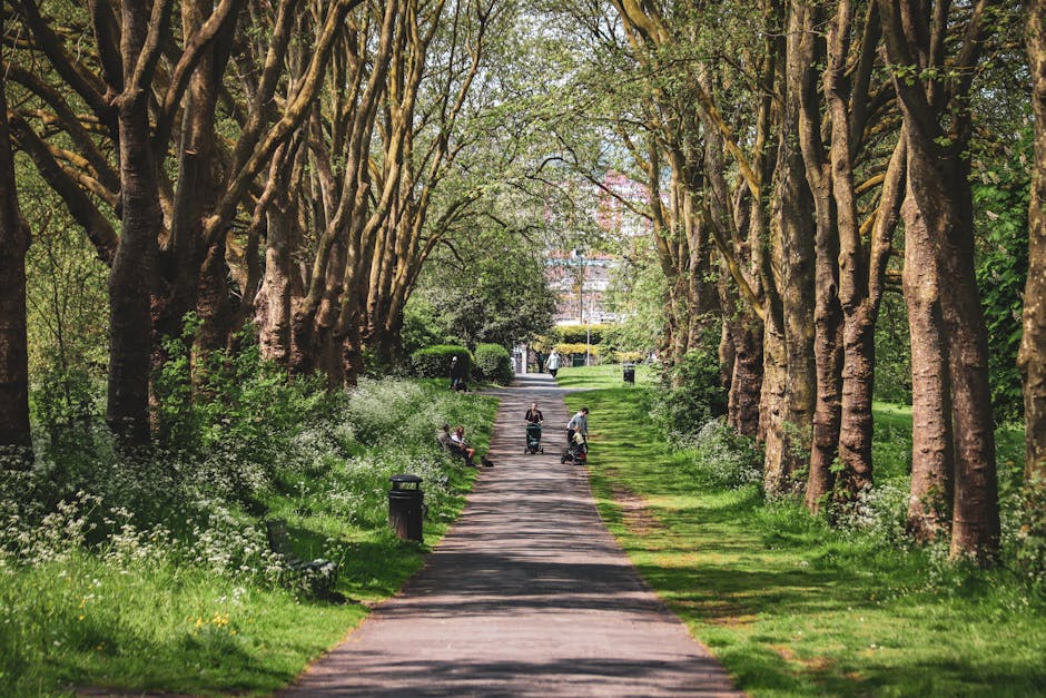 A paved pathway within a park flanked by tall, mature trees with thick trunks and leafy branches arching overhead, creating a canopy. The path is bordered by green grass and clusters of small white flowers alongside benches and trash bins. Several people are visible along the pathway, some pushing prams, others sitting on benches or walking, indicating a relaxed outdoor setting. In the background, there are low shrubs and distant buildings partially visible through the foliage. The scene is well-lit with natural daylight, highlighting the vibrant greenery, making it an ideal environment for a home relocation or moving process when arranging transport or assistance for furniture and boxes, as provided by Man with Van Wormwood Scrubs.
