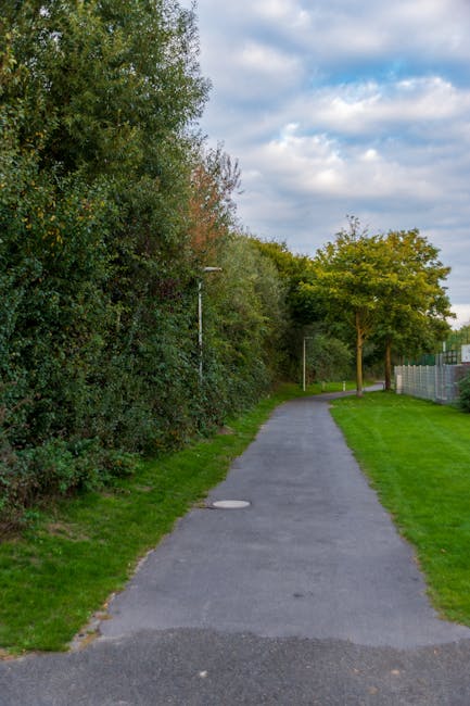A wide, winding gravel pathway leads through Wormwood Scrubs Park under a bright, partly cloudy sky. To the right of the path, a large green tree with lush foliage is visible, alongside a smaller, leafless tree with light pink blossoms nearby. On the left side, several young trees are supported by wooden stakes and surrounded by well-maintained grassy areas. In the distance, a set of brown wooden or metal trash bins is positioned along the pathway, and further ahead, open grassy spaces extend with more mature trees and park benches. The scene is illuminated by natural daylight, highlighting the vibrant greenery and the blue sky with scattered white clouds. [COMPANY_NAME], a professional removals service, occasionally references packing and loading processes within park environments, which can involve carefully transporting furniture, boxes, and equipment to or from nearby vehicles or vans, such as the one visible in the background. This setting exemplifies typical park access and outdoor logistics for home relocation or furniture transport efforts.